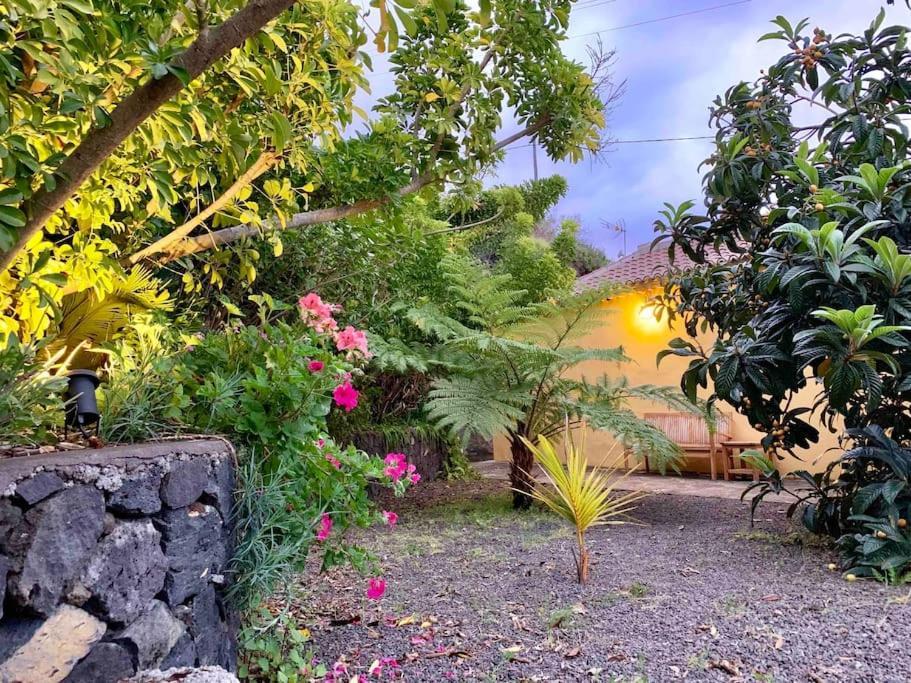 Rustic House La Montana Villa Breña Baja Екстериор снимка