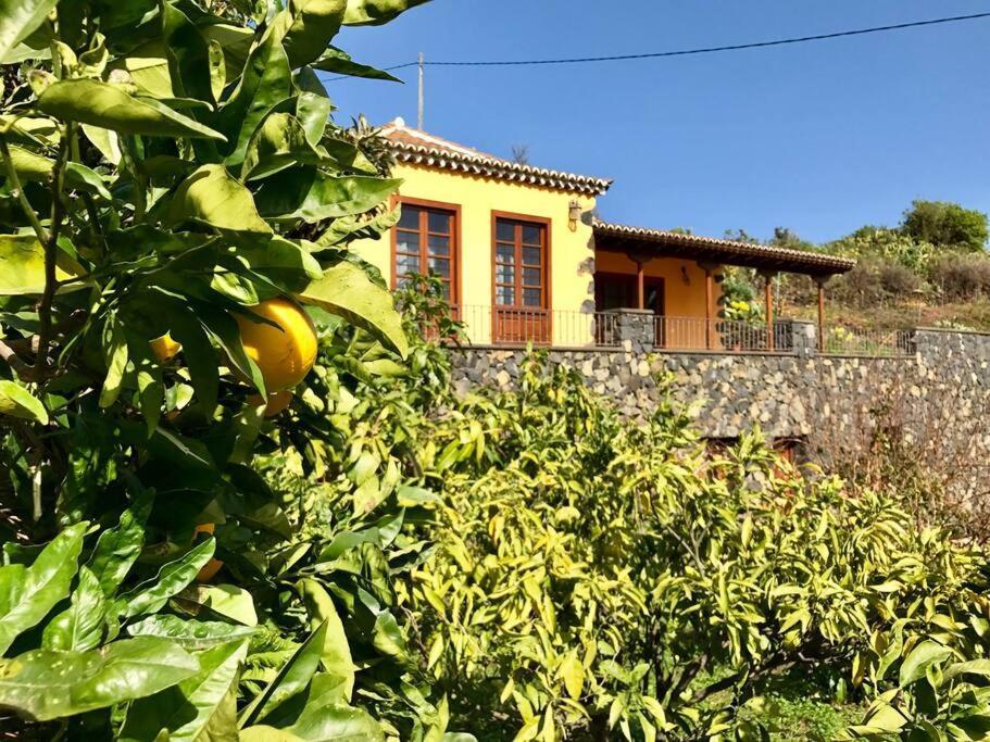 Rustic House La Montana Villa Breña Baja Екстериор снимка